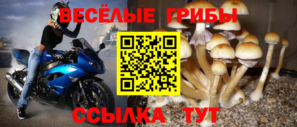 Псилоцибиновые грибы прущие грибы Белогорск